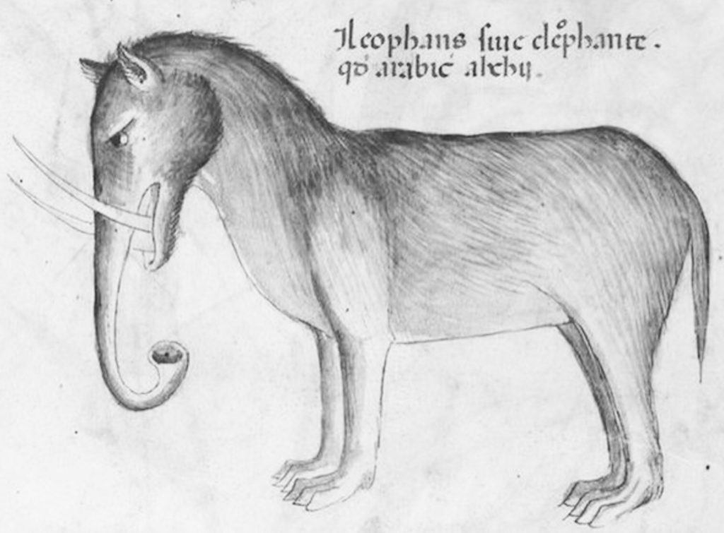 elefant alte Zeichnung