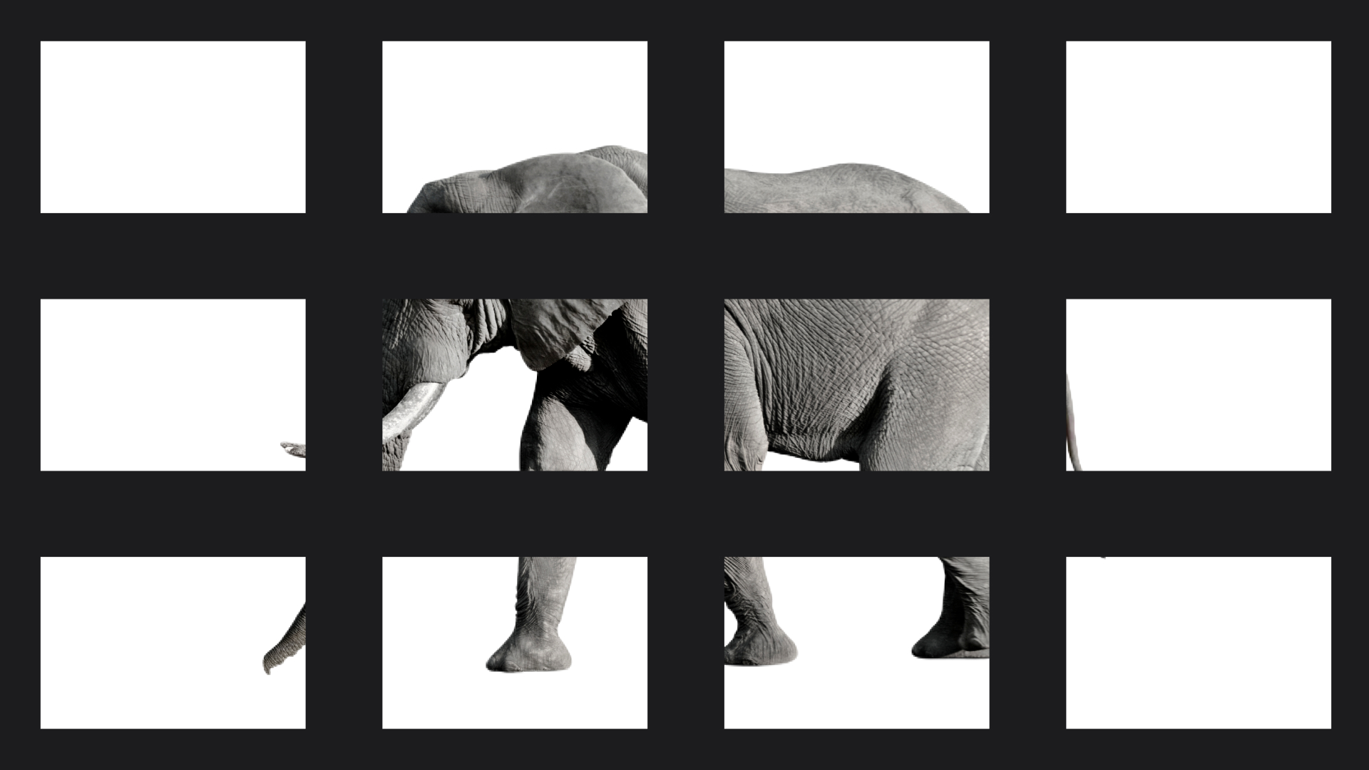 Ziel der Präsentation: hinter Elefant steckt eine Botschaft